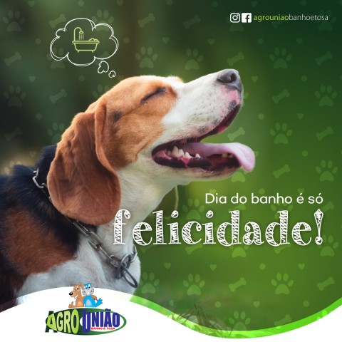 Gerenciamento de redes sociais para pet shop